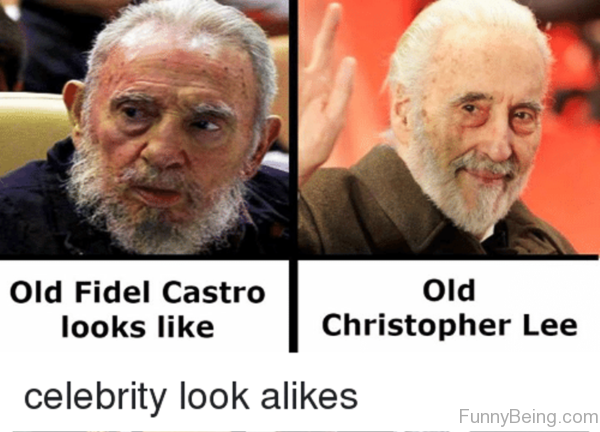 Celebrity Look Alikes