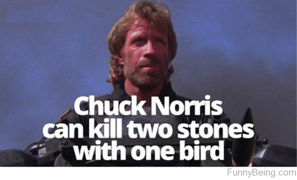 Chuck Norris Can Kill Two Stones