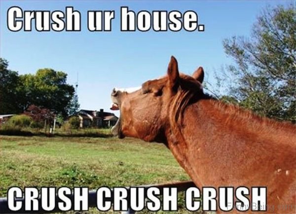 Crush Your House