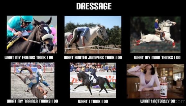 Dressage