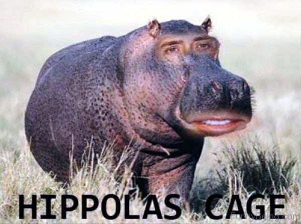 Hippolas Cage