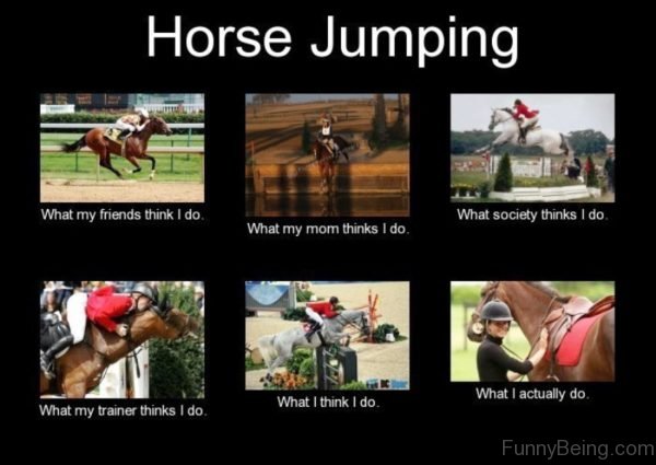 Horse Jumping