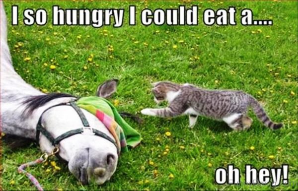 I So Hungry I Could Eat