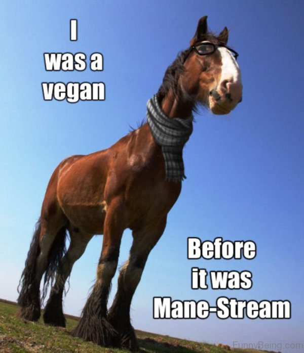 I Was A Vegan