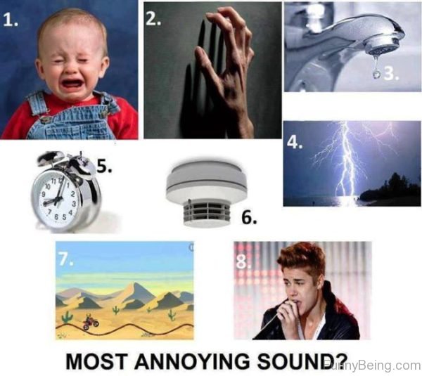 Most Annoying Sound