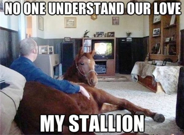 No-One-Understand-Our-Love-600x440.jpg