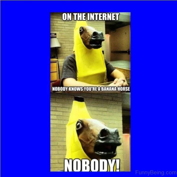 Nobody Knows You re A Banana Horse