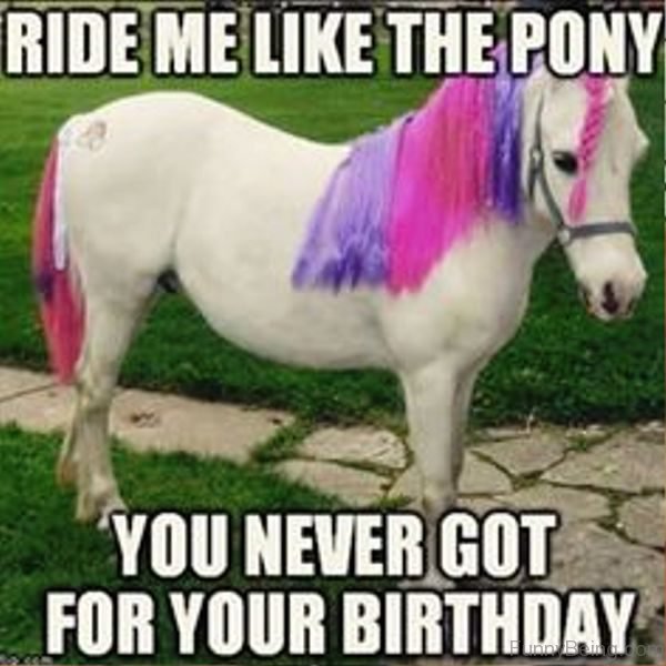 Ride me like a pony