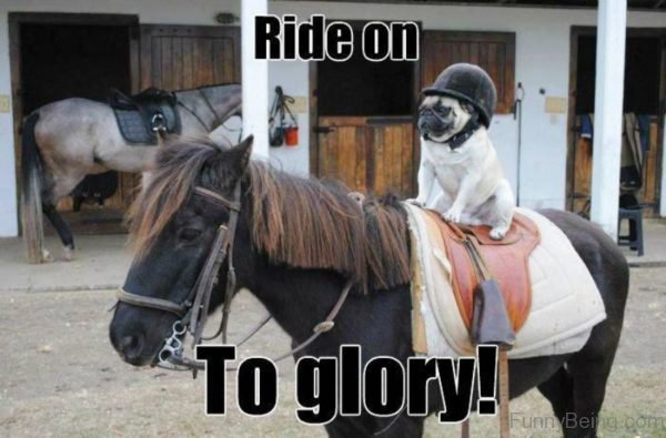 Ride On To Glory