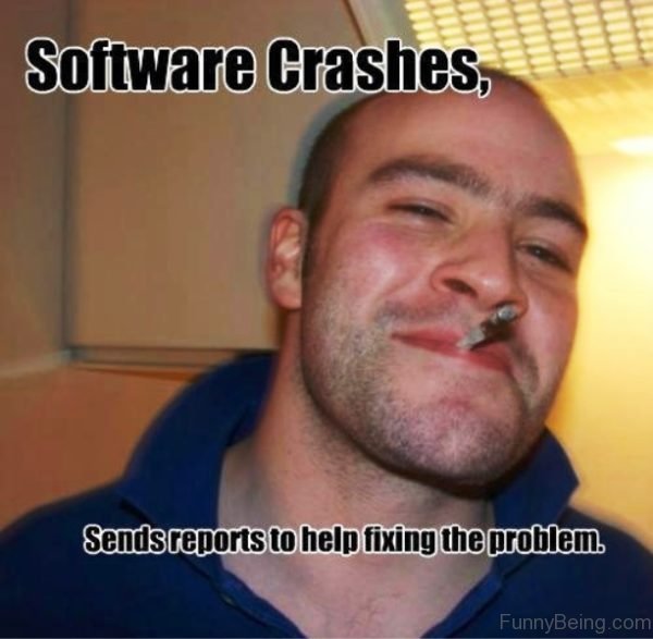 Software Crashes