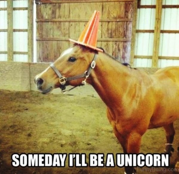 Someday Ill Be A Unicorn