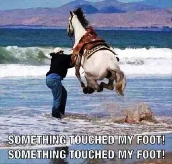 Something Touched My Foot