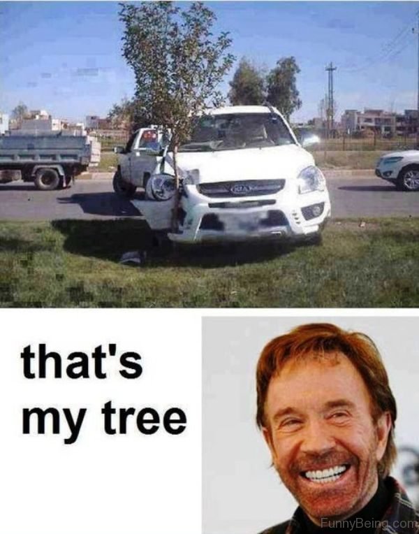 Thats My Tree