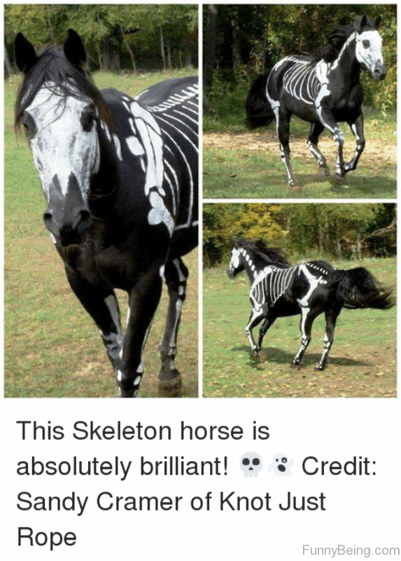 This Skeleton Horse Is Absolutely Brilliant