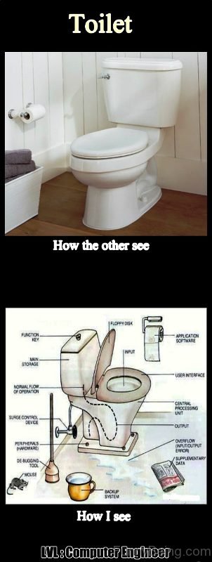 Toilet How The Other See