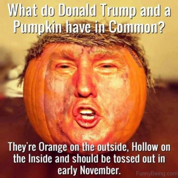 What Do Donald Trump And A Pumpkin