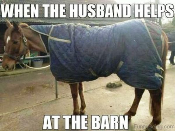 When The Husband Helps At The Barn