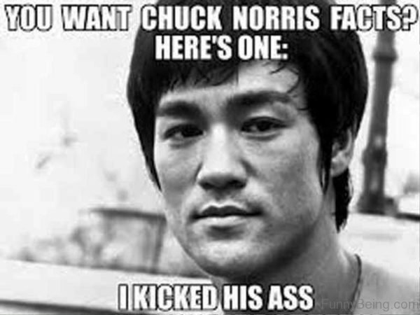 You Want Chuck Norris Facts