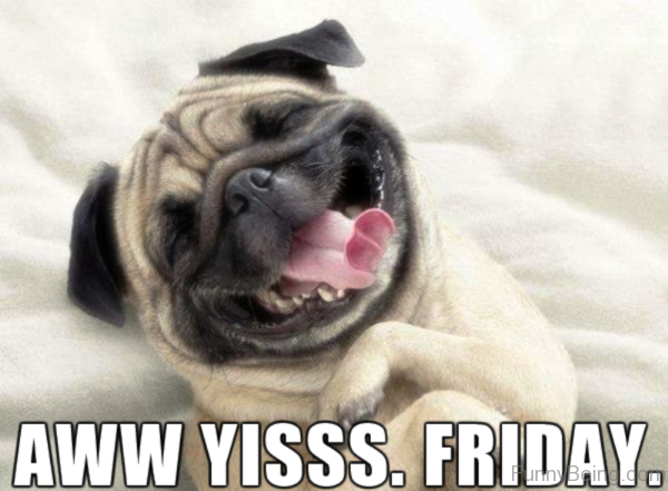 Aww Yiss Friday