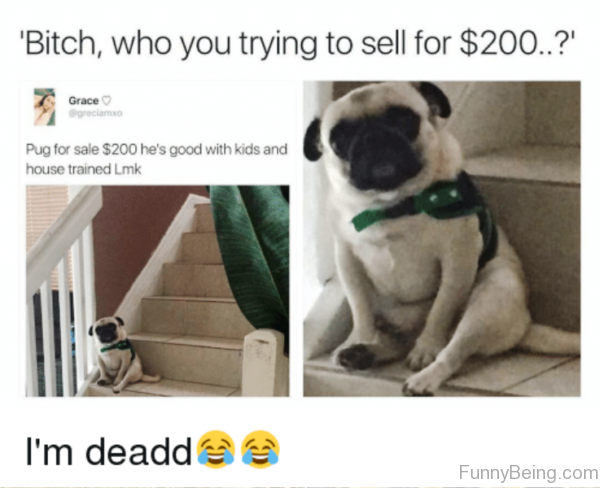 Bitch Who You Trying To Sell