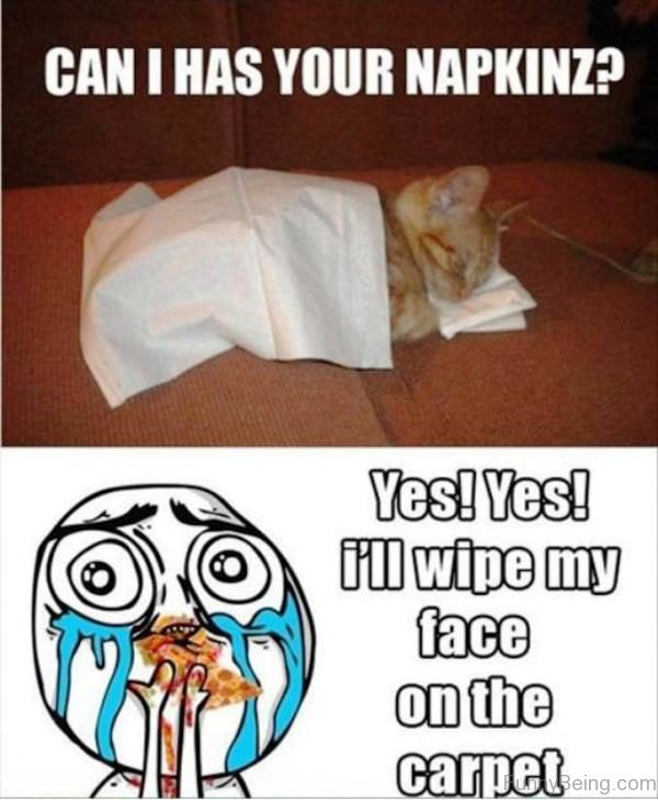 Can I Has Your Napkinz