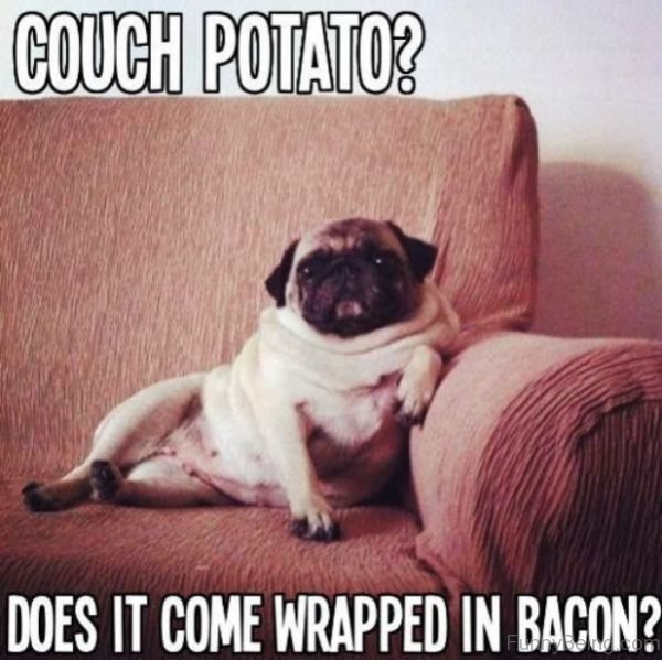 Couch Potato