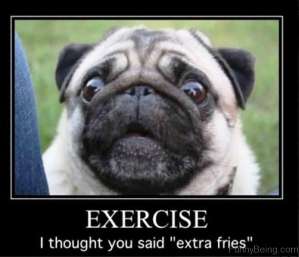 Exercise I Thought You Said Extra Fries