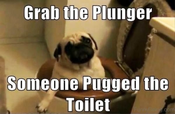 Grab The Plunger