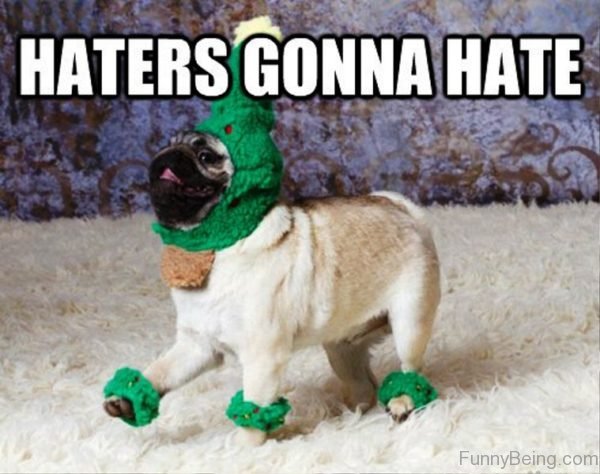 Haters Gonna Hate