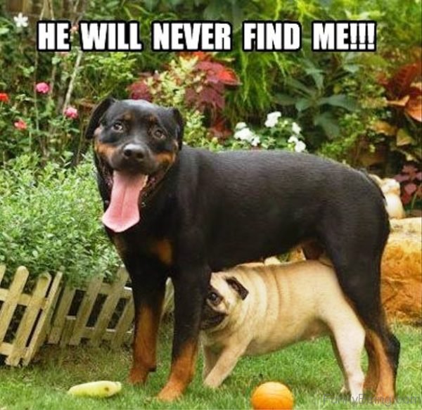 He Will Never Find Me