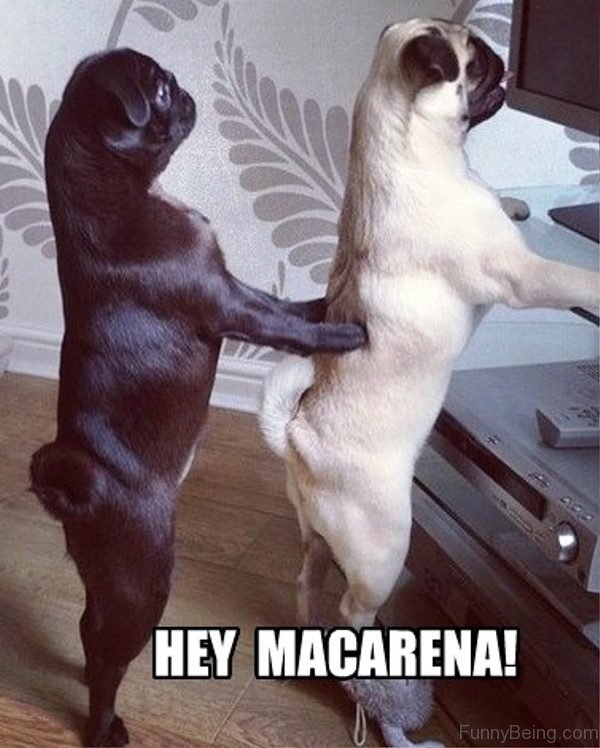 Hey Macarena