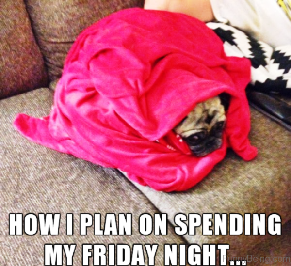 How I Plan On Spending My Friday Night