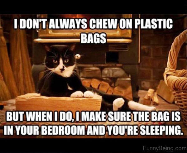 I Dont Always Chew On Plastic Bags