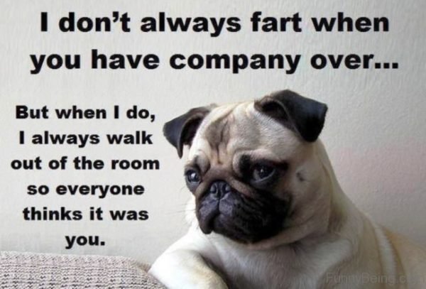 I Dont Always Fart