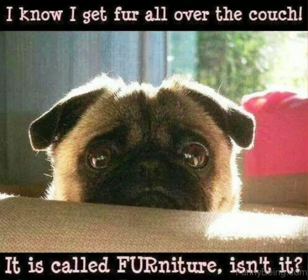 I Know I Get For All Over The Couch