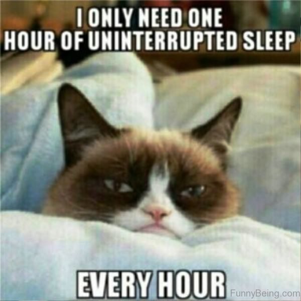 I Only Need One Hour Of Uninterrupted Sleep