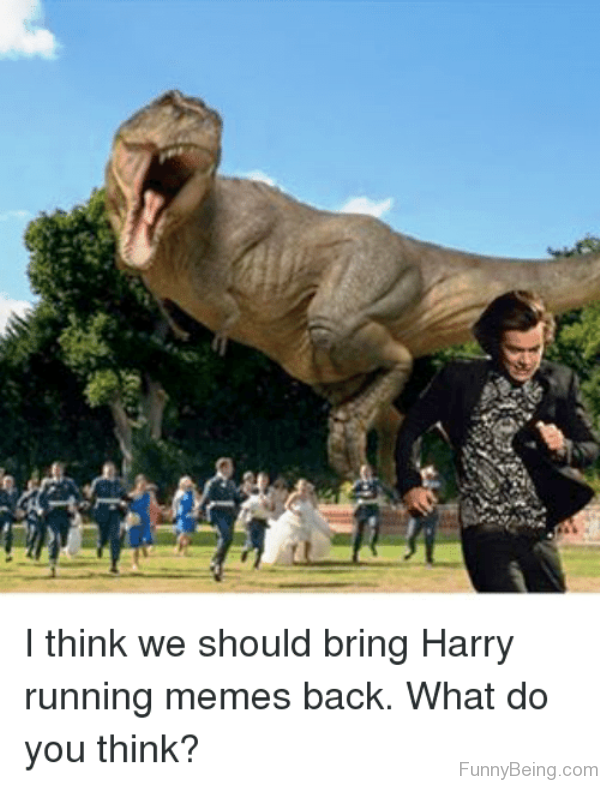 I Think We Should Bring Harry