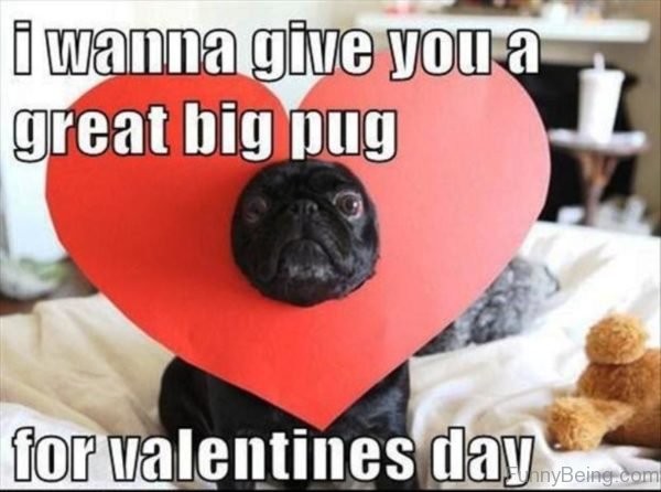 I Wanna Give You A Great Big Pug