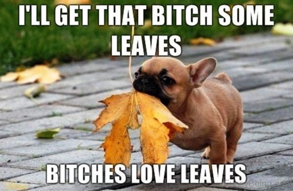 Ill Get That Bitch Some Leaves