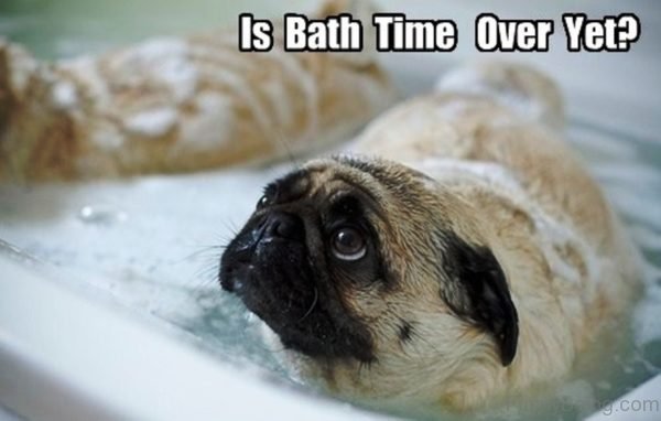 Is Bath Time Over Yet