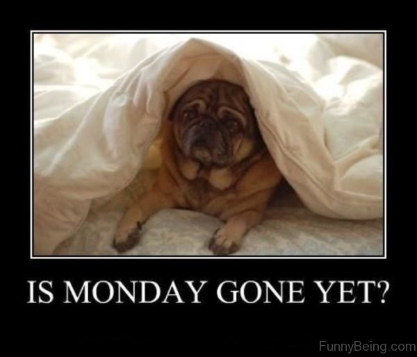 Is Monday Gone Yet