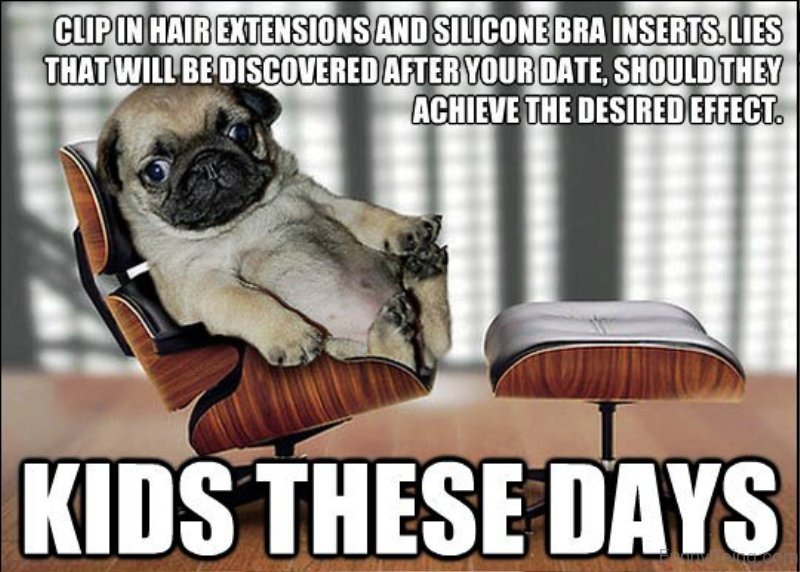 85 Mad Pug Memes