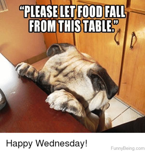 Please Let Food Fall From This Table