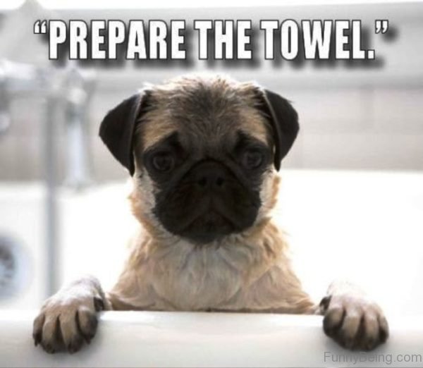 Prepare The Towel