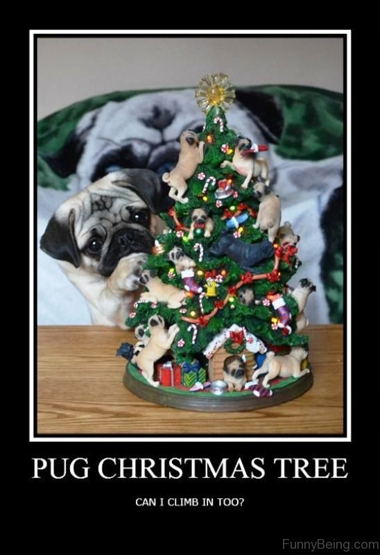 Pug Christmas Tree