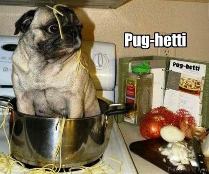 Pug Hetti.