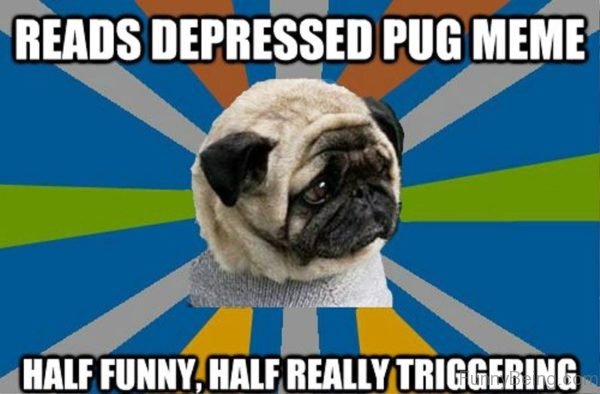 Reads Depressed Pug Meme