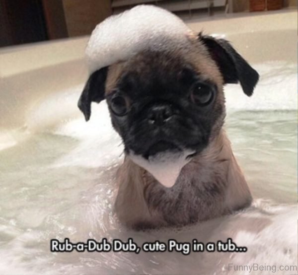 Rub A Dub Dub