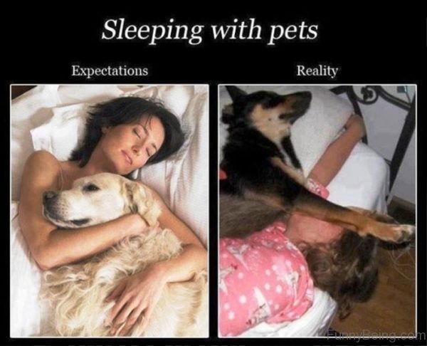 Sleeping With Pets