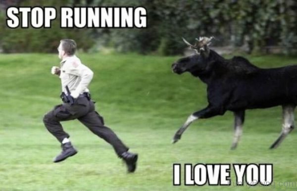 Stop Running